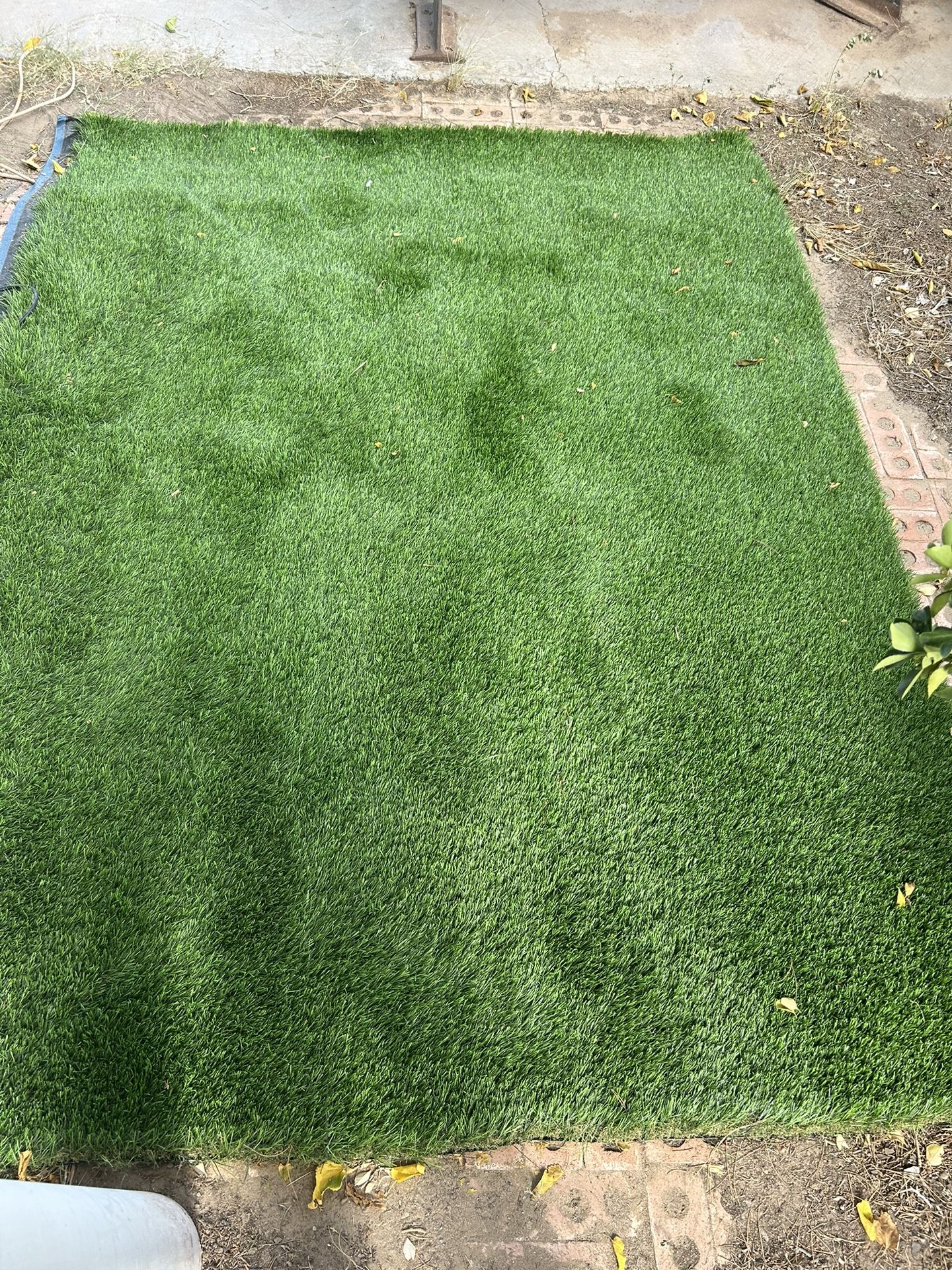 Astroturf 10 X 15 Brand New