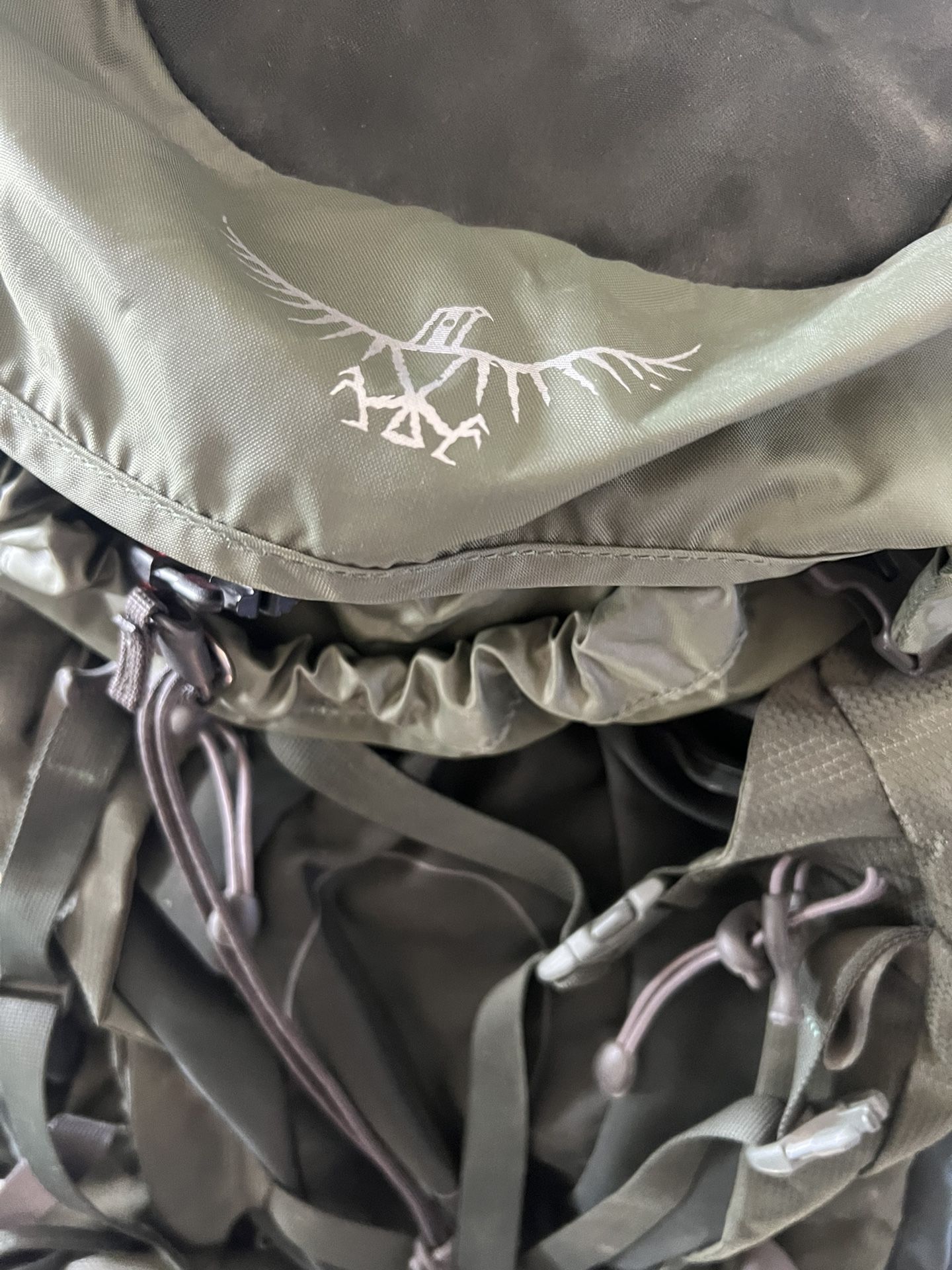 Osprey Aether AG 60 (Adirondack Green)