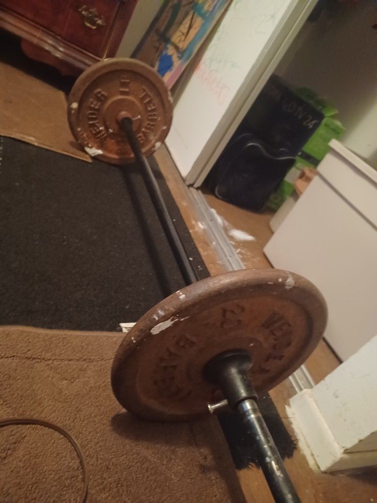 2 20 Pound Weights And Bar
