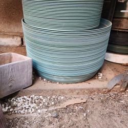 Trays For  Plants Containers $1 Each.