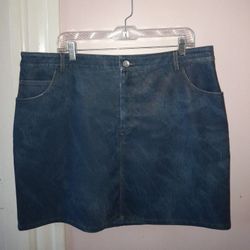 Women's Size 16w Blue Skirt 