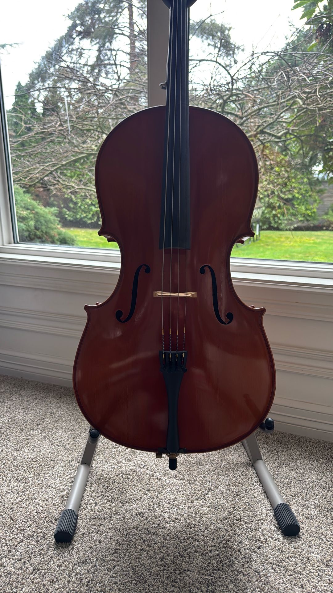 Samuel Eastman Cello VC100, 3/4 size
