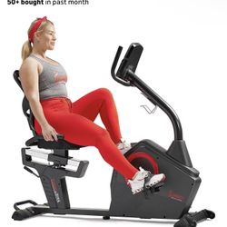 Cross Training Magnetic Recumbent Bike