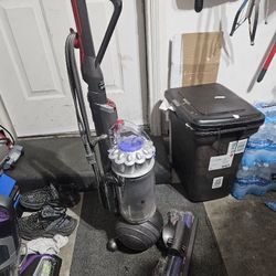 Dyson Ball Animal 2 Upright Vacuum, Iron/Purple 