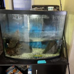 Fish Tank And Stand