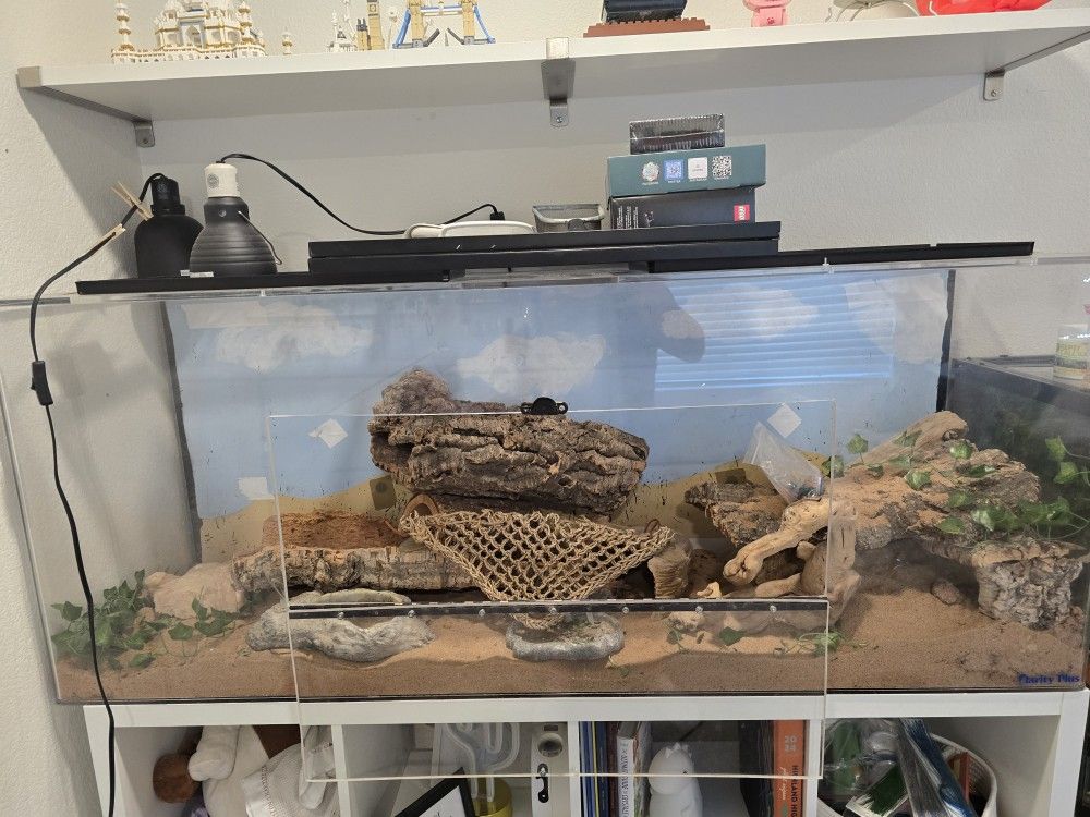 Reptile Terranium/aquarium 100 Gallons Plexiglass
