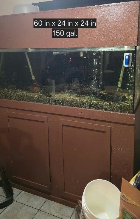 Fish Tank And Accessories.