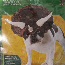 Extra Small Dog Costume 