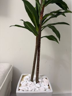 Tall plantar for home decor