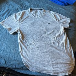 Hollister T Shirt Mens M