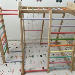 Toddler Indoor Jungle Gym