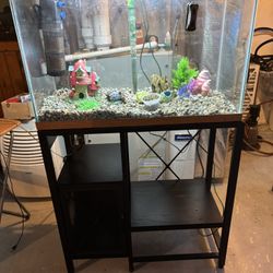 29 gallon aquarium and accessories