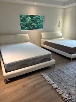 2 queen beds with Great Condition Matresses