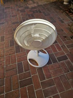 Fan