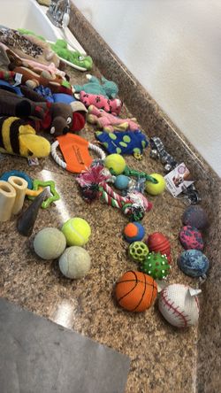 DOG TOYS and BONEs