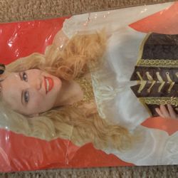 Pirate Corset Costume