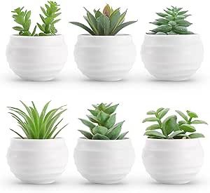 Set of 6 Succulents Plants Artificial in Pots Small Fake Plants for Bedroom Aesthetic Living Room Office Shelf Bathroom Decor