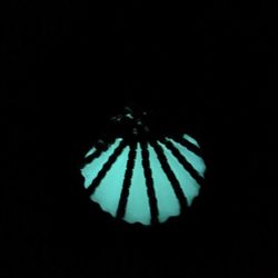 Glow In The Dark Rhinestone Silver Clam Necklace