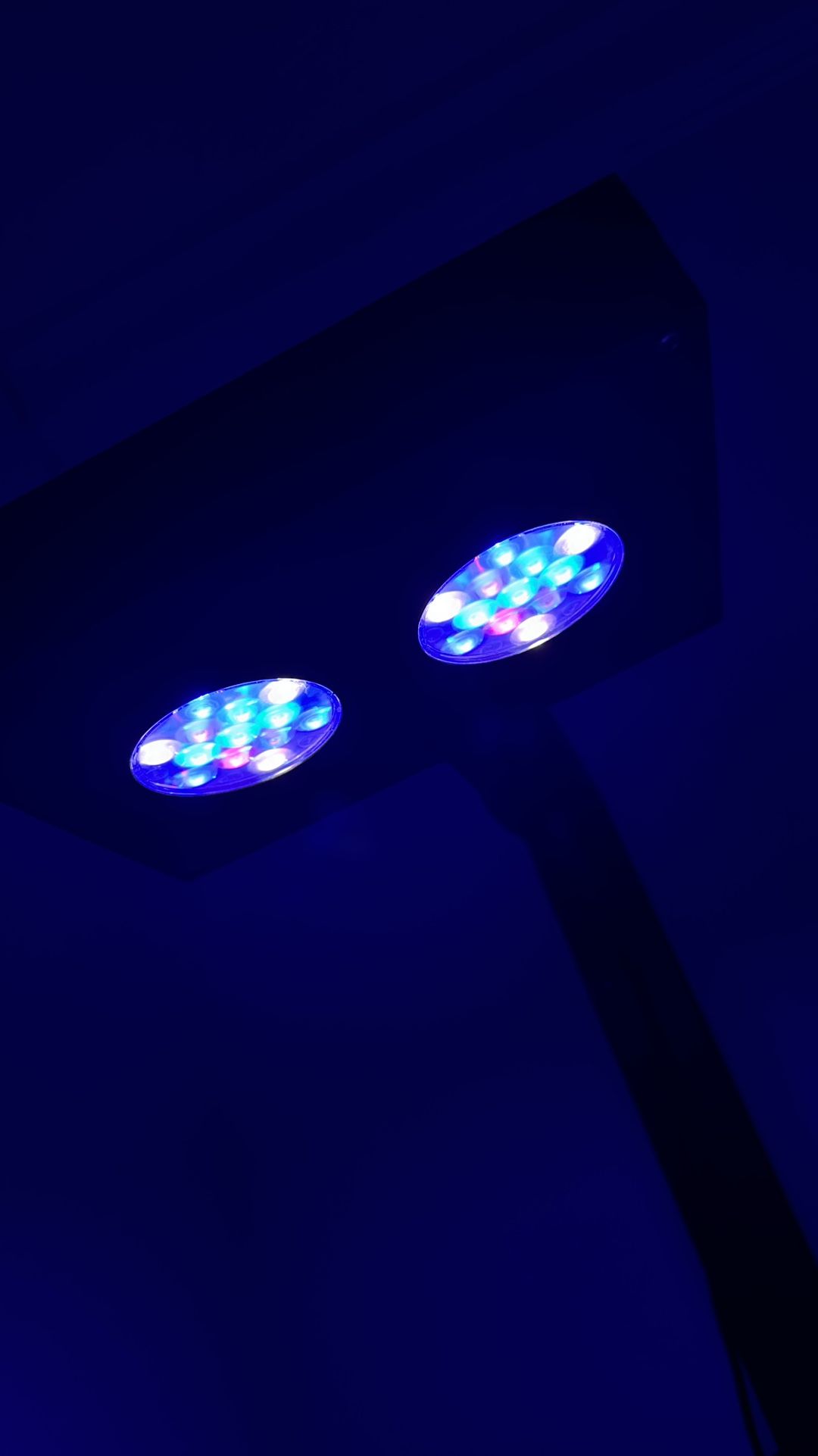 Ai Hydra 26 With Brackets Like New