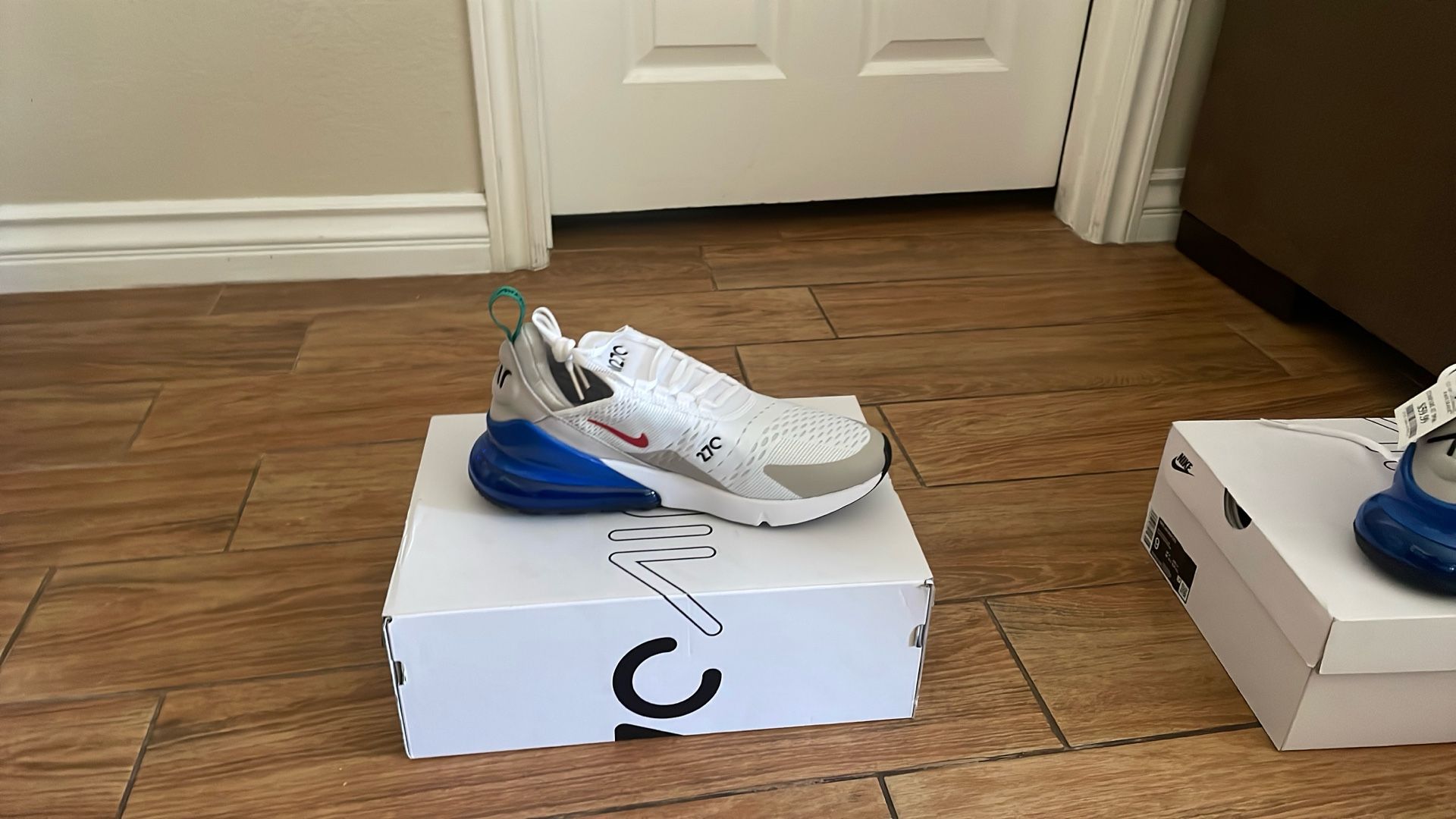 Nike Shoe