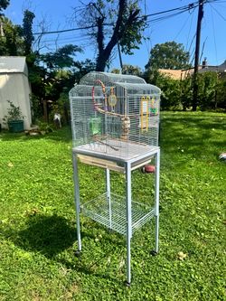 Free Bird Cage