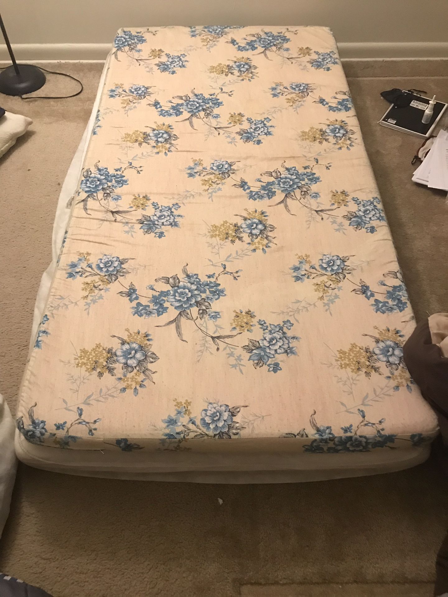 Free twin mattress and foundation (comfortable)