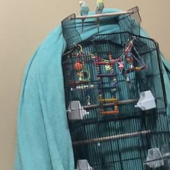 Birds W/ Cage, Toys & Food 