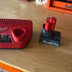 Milwaukee battery charge and battery 50 bucks worth skin