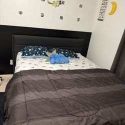 Black Upholstered Bed