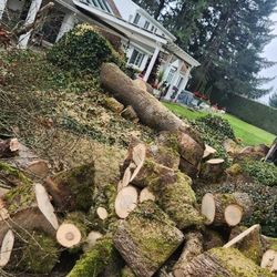 Fresh Oak Firewood rounbs for sale, We  can  delivery  around Vancouver area.