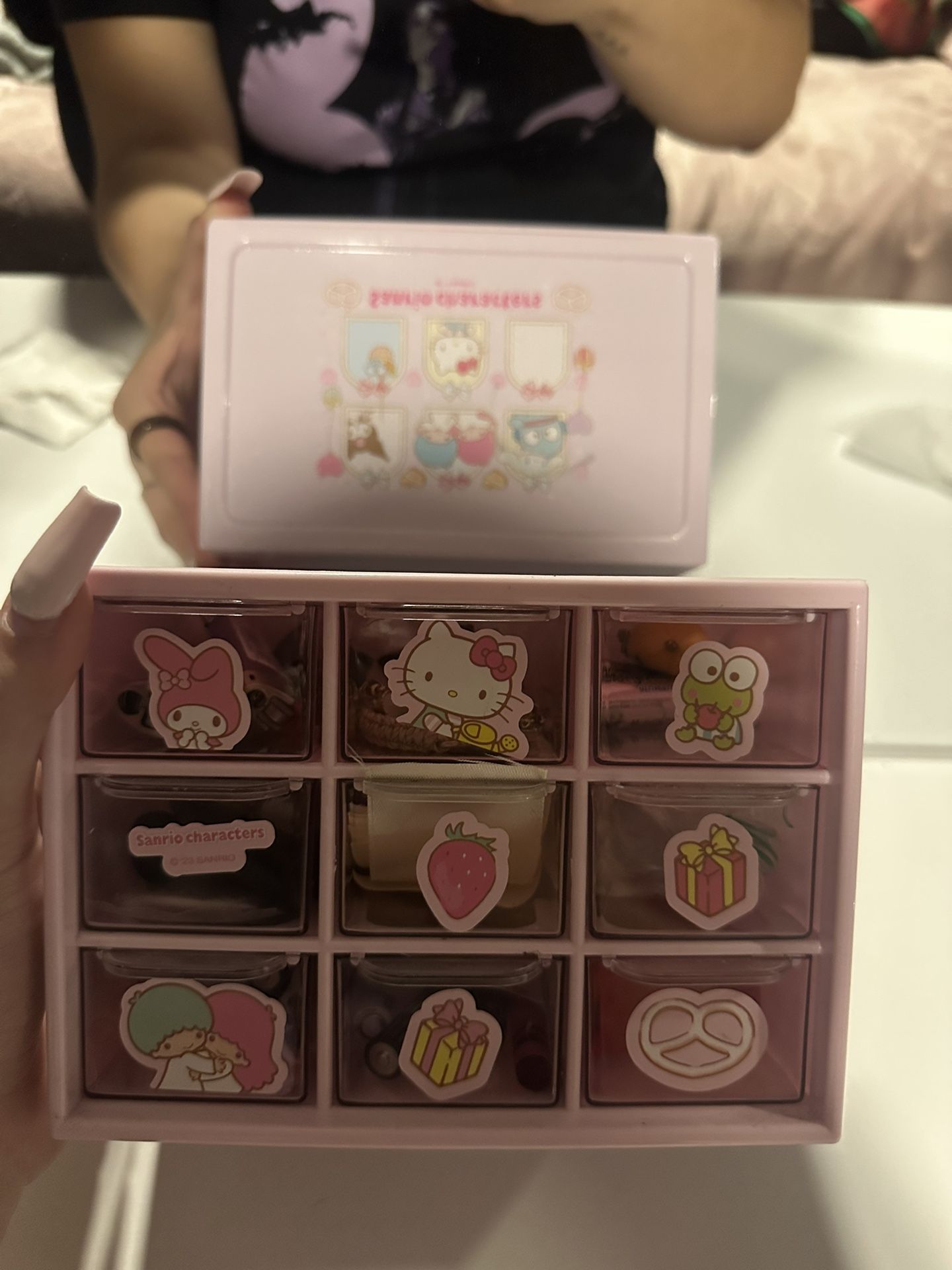 Sanrio Mini Organizar