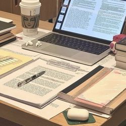 APA essay Writing 