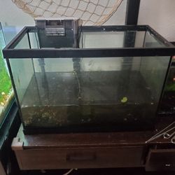 40 gallon fish tank