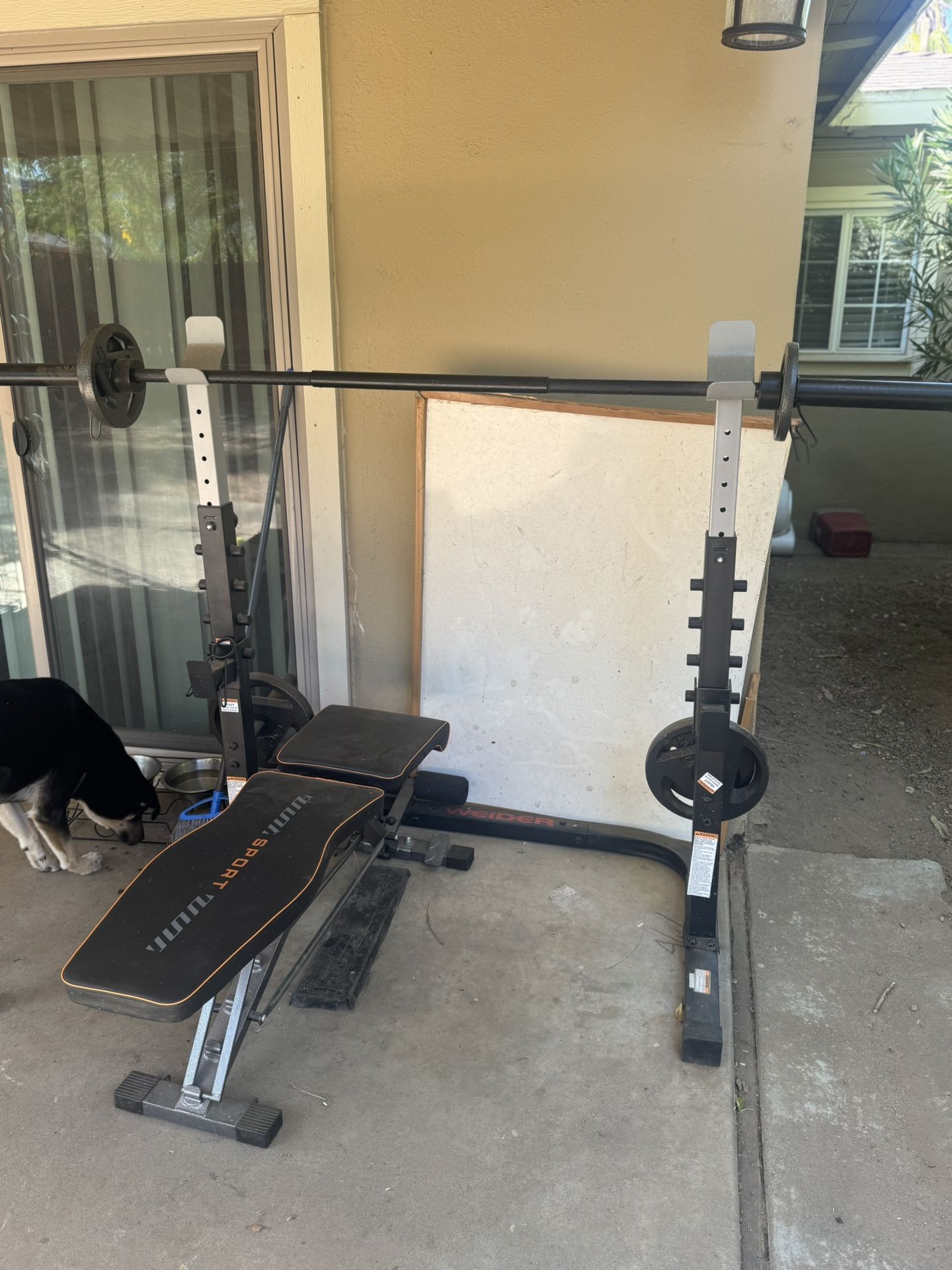 Squat Rack, Barbell, And Bench