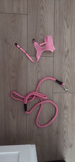 Matching harness w leash