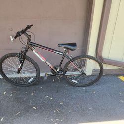 Roadmaster 26" Men's Bike