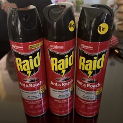 Raid Ant And Roach Spray 