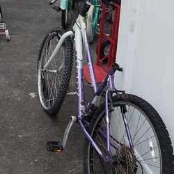 Giant , Needs Maintenance All Around, Repair Or Parts $10