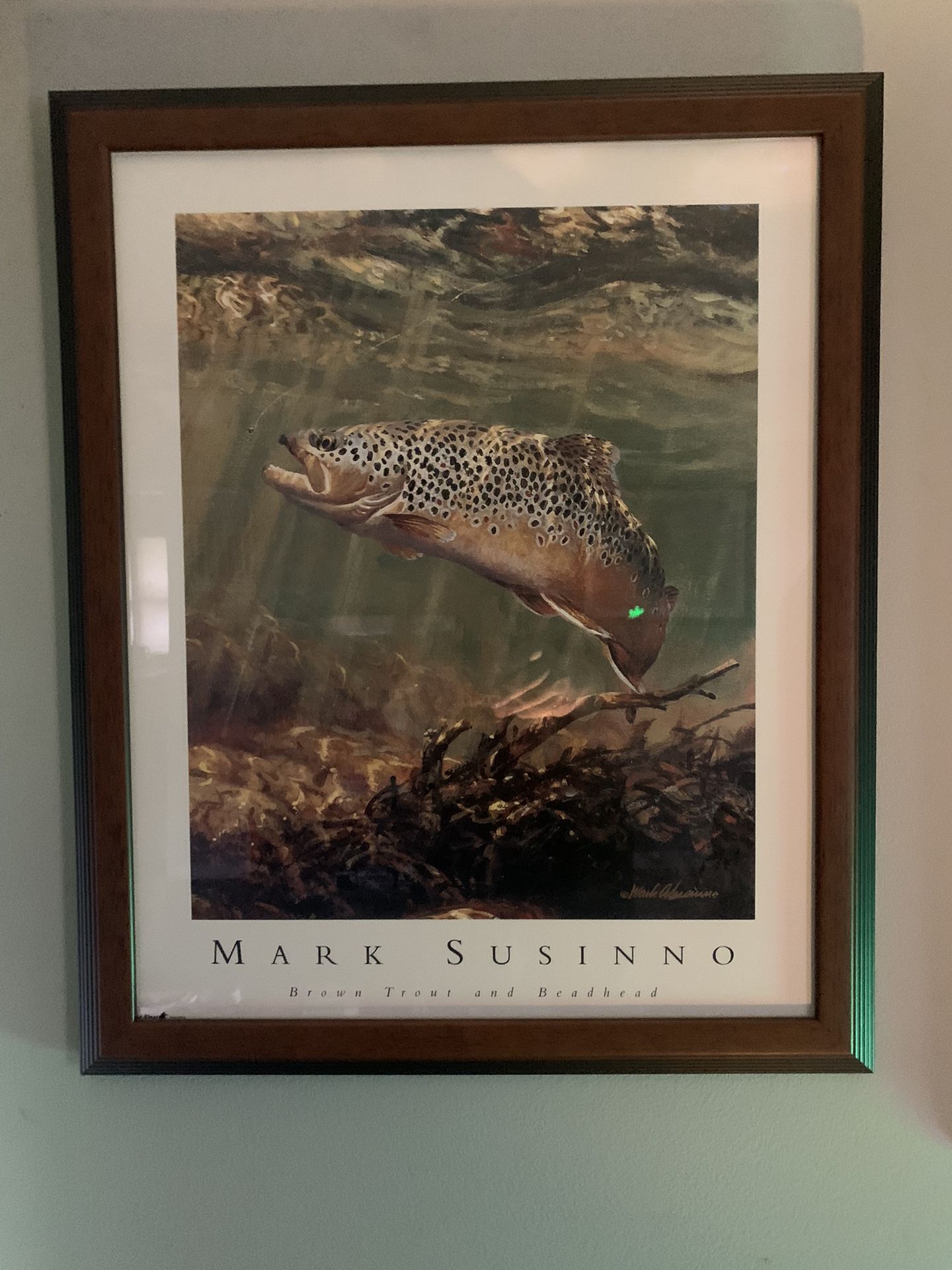 Mark Susinno Brown Trout Painting