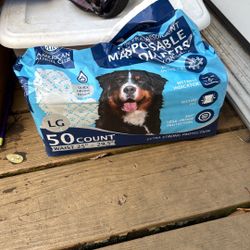 Large Dog Diapers