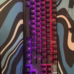 Steel Series Apex 7 TKL Red Switches 