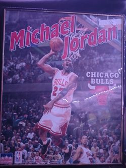 1995 Michael Jordan Starline poster