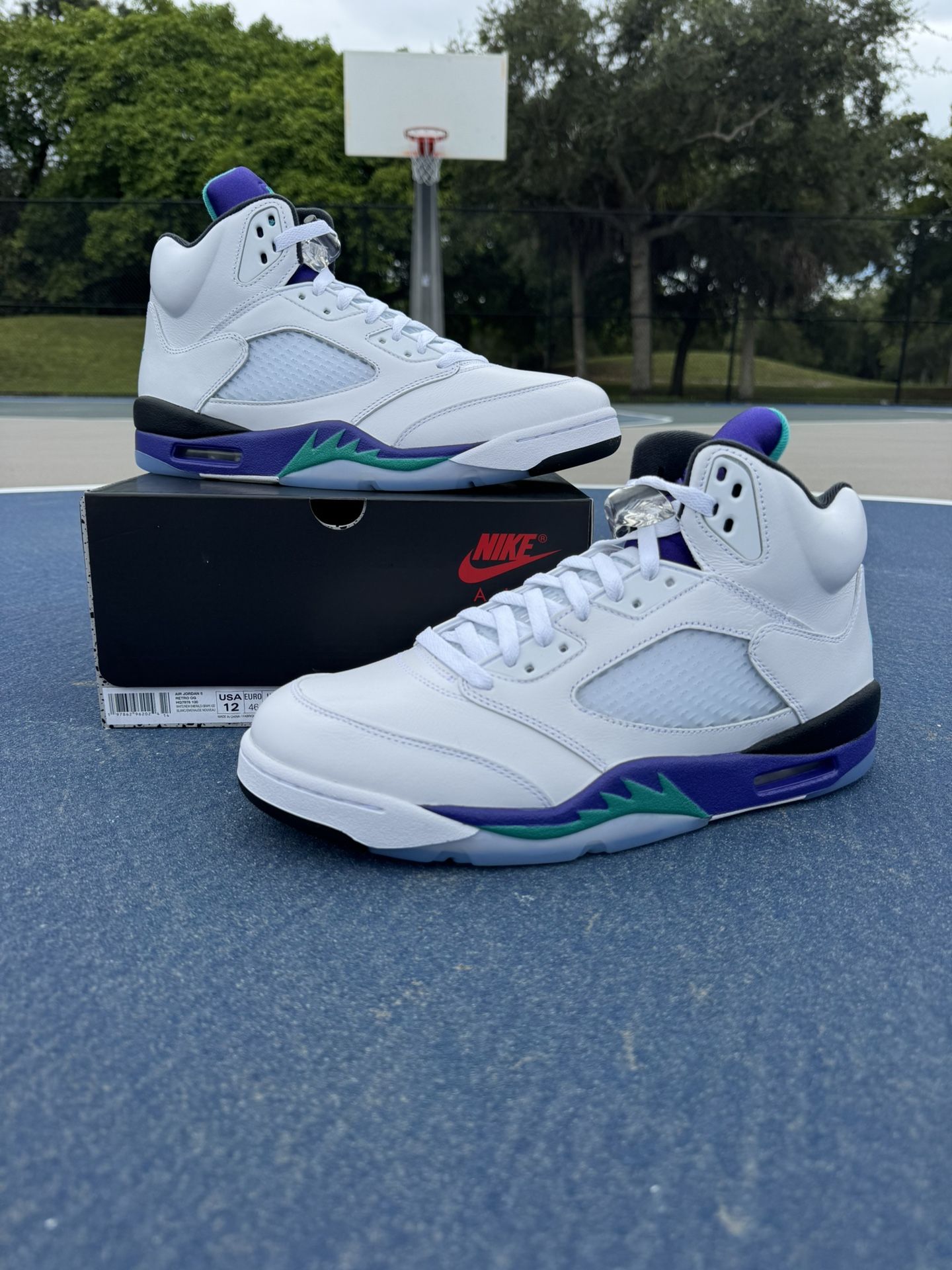 Air Jordan Retro 5 “Grape” Size 12 Men