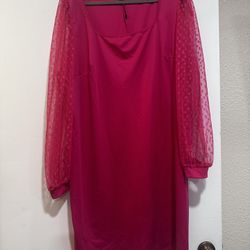 Pink Shein Curve + Dress