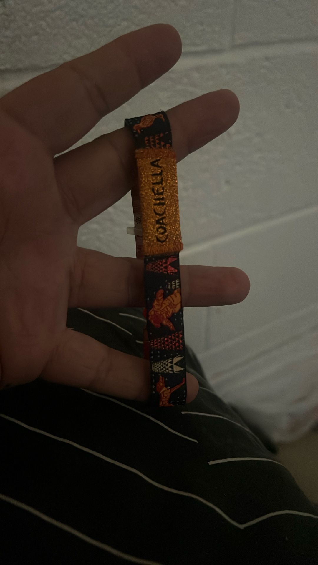 Coachella Fest Ticket For Sunday