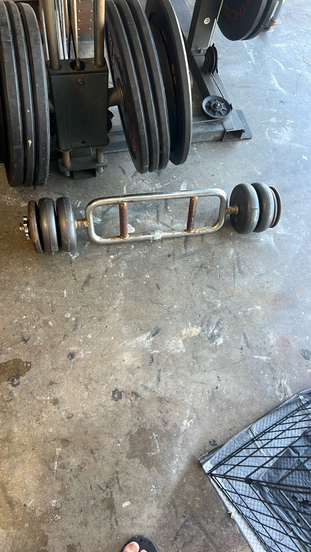 Weights