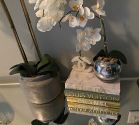 Decor Books