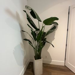 Faux Plant With With Pot - 6 Ft Tall 