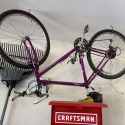 Trek Bike