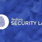 Fedora Security Lab Live USB 